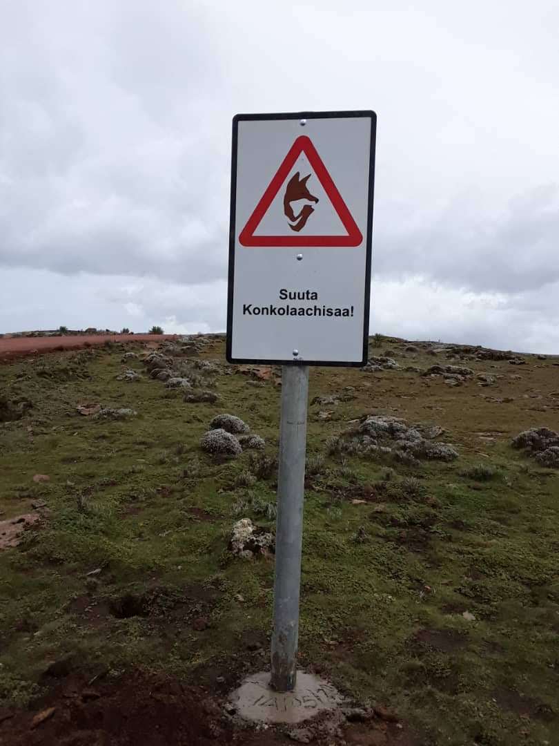 Road sign with Ethiopian wolf and Afan Oromo text